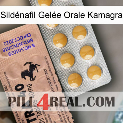 Sildénafil Gelée Orale Kamagra 41